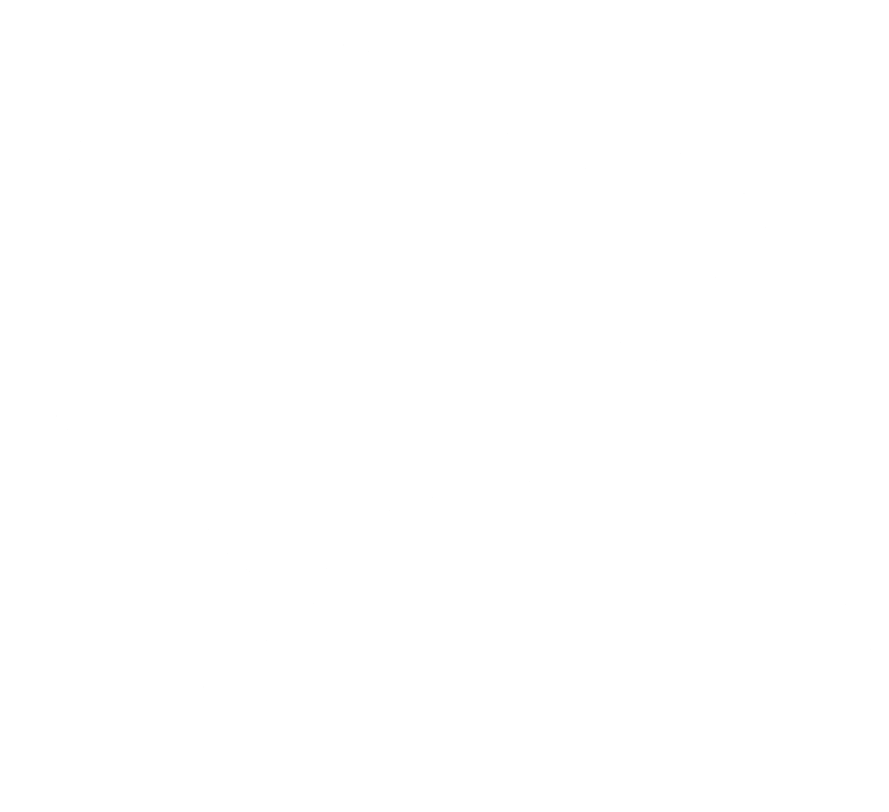 Kiwi Owned Icon